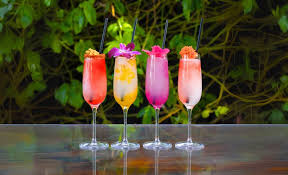 Image result for Mimosa 1988 Tracer