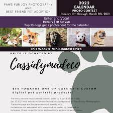 We did not find results for: Best Friend Pet Adoption Bfpa Rescue Twitter