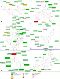 Image result for Melasma calycinum