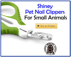 Most cats need to have their nails trimmed occasionally. 5 Of The Best Cat Nail Clippers For Safe Trimming Traveling With Your Cat