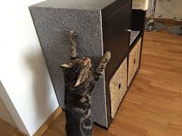 Pin On Diy Cat Stuff