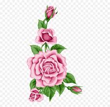 879881 victorian swag gold satin floral wallpaper border 974b60944. Library Of Wilting Flower Banner Royalty Free Png Files Border Design Side Flowers Emoji Wilted Flower Emoji Free Transparent Emoji Emojipng Com