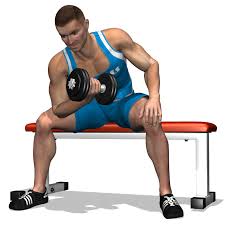Bicep Curl Concentrato Con Manubrio Da Seduto Allenamento Bicipiti Esercizi Per Le Braccia Bicipiti