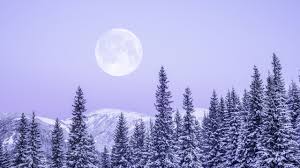 With the planet's orbit tilted on its axis. Winter Solstice 2019 Witches Offer A Look Into Their Yule Rituals Teen Vogue