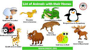 List Of Animals And Their Sounds Archives Engdic