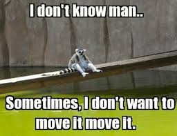 Lemur Move It Move It Funny Lol Funny Animal Pictures The Funny Funny Pictures