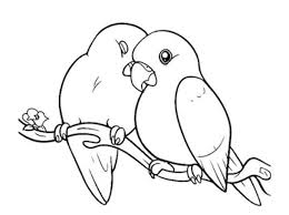 Download kumpulan gambar mewarnai anak dengan tema burung lainnya seperti contoh gambar. Download Sketsa Gambar Burung Lovebird Ini Jenis Jenisnya