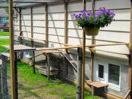 Chicken wire, or poultry netting, is a mesh of wire commonly used to fence in fowl, such as chickens, in a run or coop. How To Build An Outdoor Cat Enclosure Or Catio