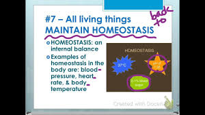 8 Characteristics Of Life Youtube We explain 7 characteristics of life with video tutorials and quizzes, using our many ways(tm) learn about the building blocks of life in this lesson by examining cellular organization and. 8 characteristics of life