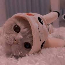 Maybe you would like to learn more about one of these? à¸™ à¸­à¸‡à¹à¸¡à¸§à¸™ à¸²à¸£ à¸ à¸™ à¸­à¸‡à¸™ à¸²à¸£ à¸à¸à¸à¸ Facebook