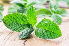 Did you know that in spite of them being both mints, they are still different. Apple Mint The Fruity Mint Spiceography