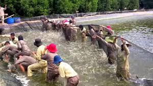 Potensi Besar Pemanfaatan Belum Maksimal Tribun Lampung