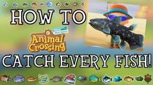 It sells for 2,500 bells at tom nook's store. Animal Crossing New Horizons Wie Man Einen Ranchu Goldfisch Bekommt