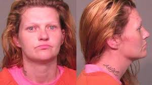 Police catch driver in NC after chase from York County SC