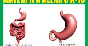 Semoga dengan uas semester ganjil ini bisa memenuhi permintaan adik adik dan para guru. Materi Pelajaran Ipa Kelas 8 Kurikulum 2013 Semester 1 2
