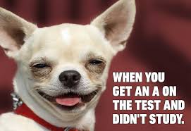 Jun 16, 2021 · &#9664previous post next post my dad gave us a sous vide setup for christmas and i'm never looking back. Dog Meme