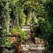 Le Jardin Entierement Reimagine D Une Villa Art Deco A Saint Remy De Provence An Entirely Redesigned Garden Of An Ar Avec Images Saint Remy De Provence Jardins Paysagiste