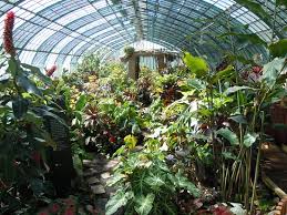 Sa riche collection de 22 000 espèces et cultivars de. Le Plus Beau Jardin Botanique De Paris Avis De Voyageurs Sur Jardin Des Serres D Auteuil Paris Tripadvisor