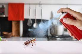 Near you 20+ pest control companies near you. Advantages Of Hiring A Reputable Pest Control Company