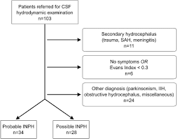 Comparison Of The Csf Dynamics Between Patients With