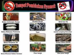 Demam denggi adalah sejenis penyakit bawaan akibat dari gigitan nyamuk aedes yang boleh membawa maut terutamanya jenis demam denggi berdarah. 10 Langkah Perlu Diambil Cegah Zika Bahaya Zika