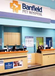 Maybe you would like to learn more about one of these? Banfield Pet Hospital In Chula Vista Ca