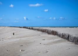 Wiemy o najlepszych promocjach i ofertach biur podróży. Plazy Morze Polnocne Holandia Darmowe Zdjecie Na Pixabay