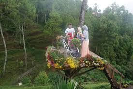 Mengusung nama alamanda jogja flower garden, wisata taman outdoor menarik perhatian. My Passion Batu Flower Garden