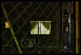 Wade Comer (@wadecomerphoto) • Instagram photos and videos