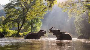 Nature wallpapers 4k hd for desktop, iphone, pc, laptop, computer, android phone, smartphone, imac, macbook, tablet, mobile device. Take A Relaxing World River Tour With This New Free Premium 4k Wallpaper Packs For Windows 10 Mspoweruser