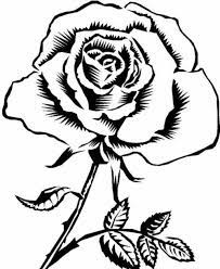 Maybe you would like to learn more about one of these? Paling Populer 15 Gambar Bunga Mawar Yg Mudah Digambar Sketsa Bunga Sketsa Gambar Bunga Mawar Merah 6000 Gambar Bunga Ma Sketsa Sketsa Bunga Wallpaper Mawar