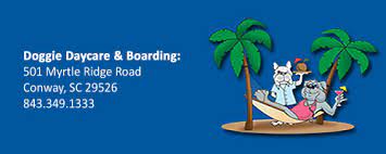 We did not find results for: Home The Pet Doctor