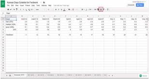 screen capture of data organization in google sheet with