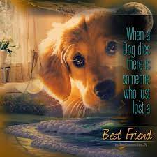 When A Dog Dies There Is Someone Who Just Lost A Best Friend Dog Passed Away Pet Grief Pet Remembrance