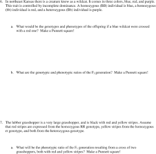 What is the predicted phenotypic ratio for the offspring? Incomplete Dominance And Codominance Pdf Free Download