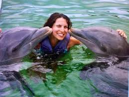 … consentito l'ingresso in vasca ai soggetti che partecipano ad attività di educazione e sensibilizzazione del pubblico in materia di conservazione della. Bagno Con I Delfini Picture Of Sirena Beach Cuba Tripadvisor