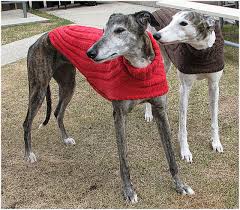 It's a rather complicated pattern with a lot of increase/ decrease, pick up stitches and stitching two pieces together. Ravelry Side Button Greyhound Sweater Pattern By Terri Lee Royea