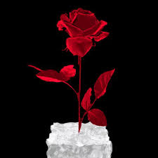 Flowers animated gif images totally free that you can use in your work, in your web pages, or where you need it. Best Bouquet Of Flowers For Gifs Gfycat