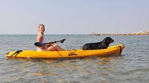 Buying a kayak is a big decision for you and your pooch — you'll spend many hours drifting on the water together, so make sure you pick a comfy model for both of you! Best Kayak For Dogs 2021 Top Rated Dog Friendly Kayaks Kayak Help