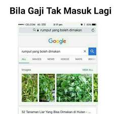 Rumput Yang Boleh Dimakan Malaysia