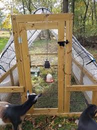 However, i feel like it is time for an upgrade, that is why i was looking at this slick diy quail coop design. 3 Types Of Quail Habitats Community Chickens