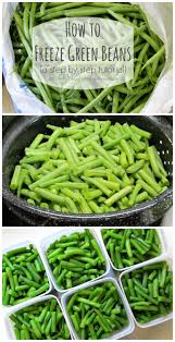How To Freeze Green Beans A Step By Step Tutorial Recipe Canning Recipes Frozen Green Beans Recipes