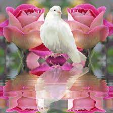 Votre carte sera acheminée par courrier avec la poste et sera déposée dans la boîte aux lettres du destinataire ! Oiseau Gif Fleurs Belle Image D Amour Belles Images Animees
