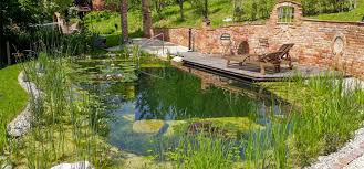 Was bedeutet eigentlich den begriff naturpool, und was sie darüber wissen müssen, bevor sie einen schwimmteich bauen. Home Verband Osterreichischer Schwimmteich Und Naturpoolbau