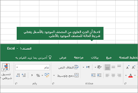 أين توجد علامات تبويب ورقة العمل الخاصة بي Excel