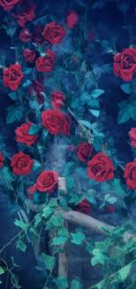 Aesthetic Mobile Wallpaper 1080x2280 081 We have 78+ amazing background pictures carefully picked by our community. aesthetic mobile wallpaper 1080x2280