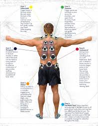 Massagers can target different areas and use various massage techniques and intensities. Massage Back Muscle Chart Massage Therapy Is A Process Pain Relief Massage Wellness To Get Started Choose A Muscle Group Either On The Muscle Chart Dbwahumurr