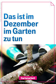 Gartenarbeit Im Dezember Das Ist Zu Tun Garten Dezmeber Gartenarbeit Gartenkalender Winter Garten Gartenarbeit Garten Pflanzen