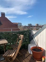Sonniger Balkon In Der Hansestadt In 2020 Balkon Wg Gesucht Garten