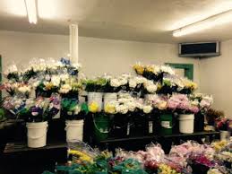 Maybe you would like to learn more about one of these? Travis Wholesale Florists 24 Photos 29 Reviews Florists 240 W Josephine St San Antonio Tx United States Phone Number Yelp